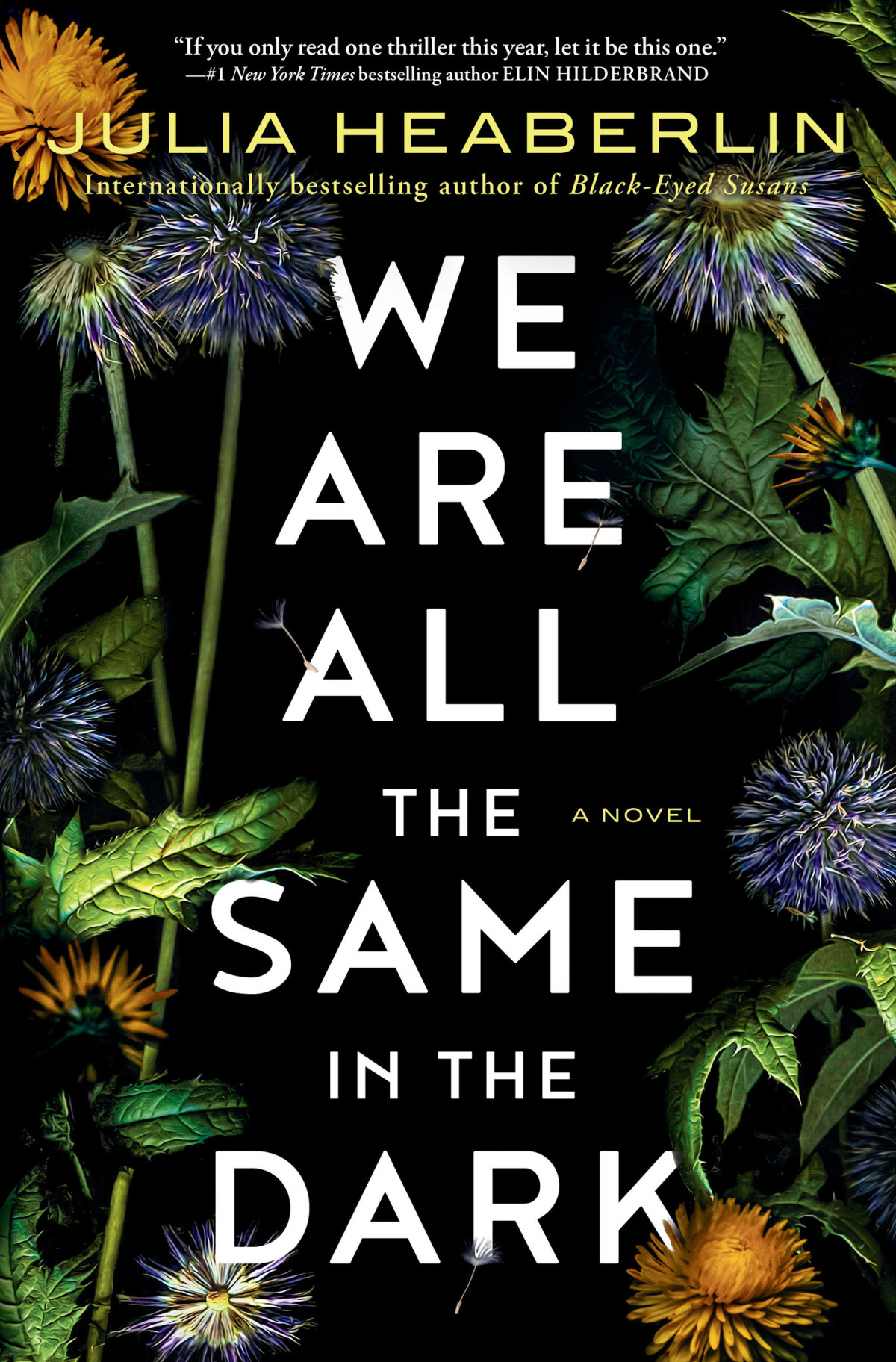 We Are All The Same In The Dark Julia Heaberlin