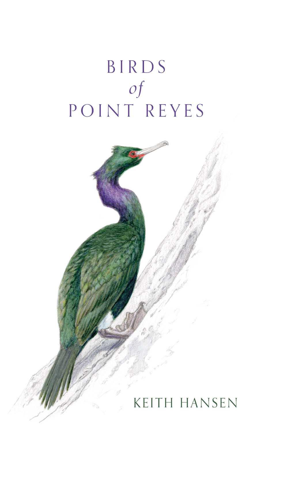 Birds Of Point Reyes Keith Hansen