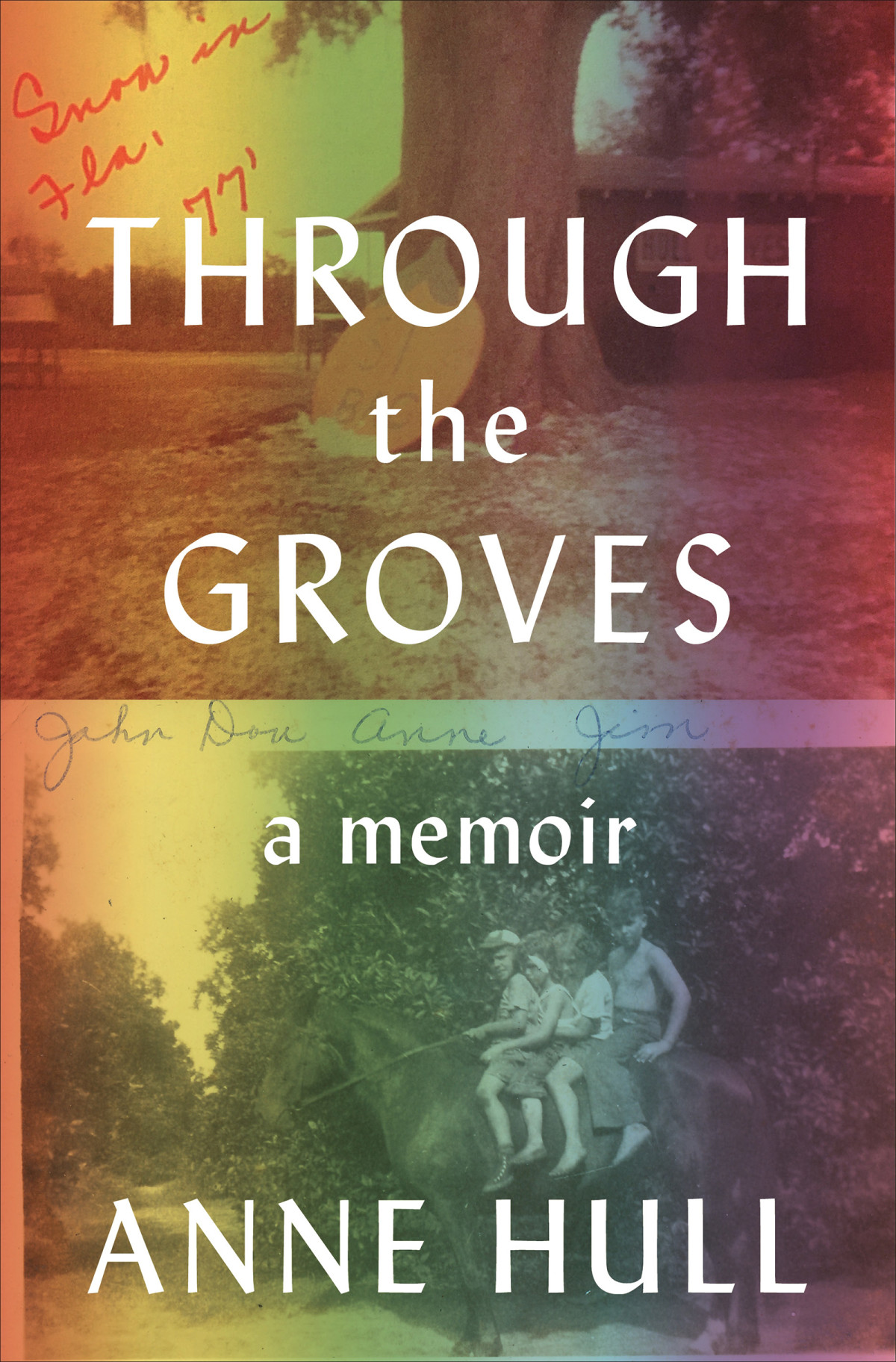 Through The Groves Anne Hull