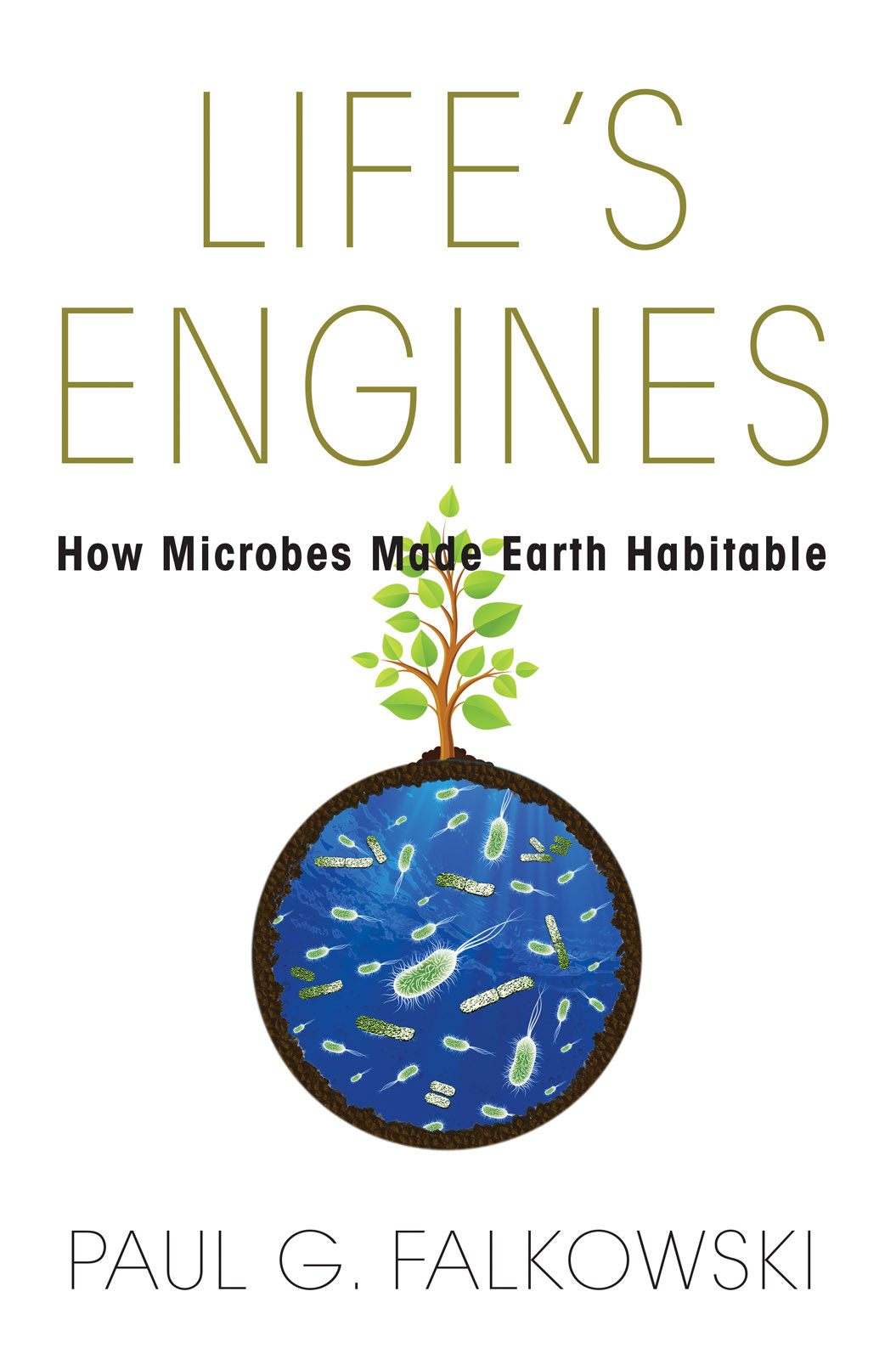 Lifes Engines Paul G Falkowski