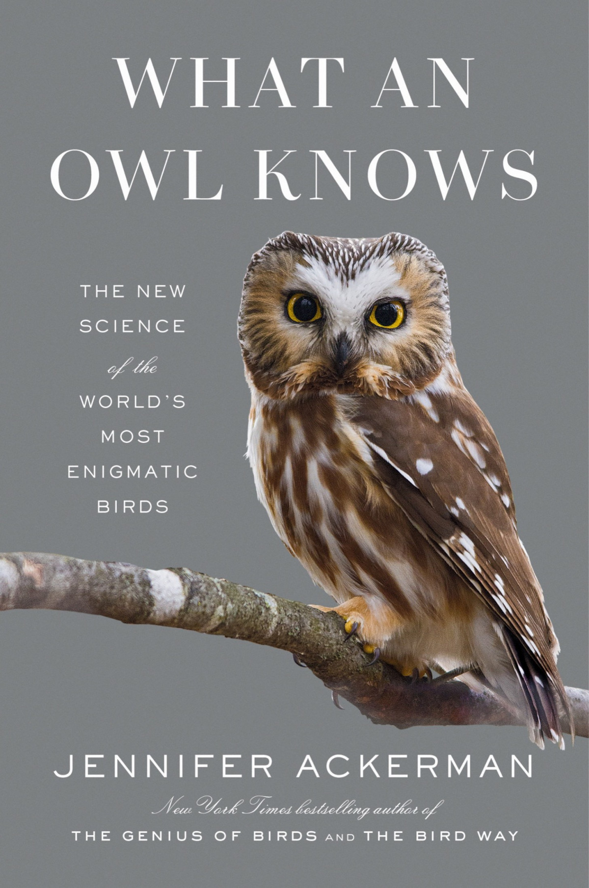 What An Owl Knows The New Science Of The Worlds Most Enigmatic Birds Jennifer Ackerman