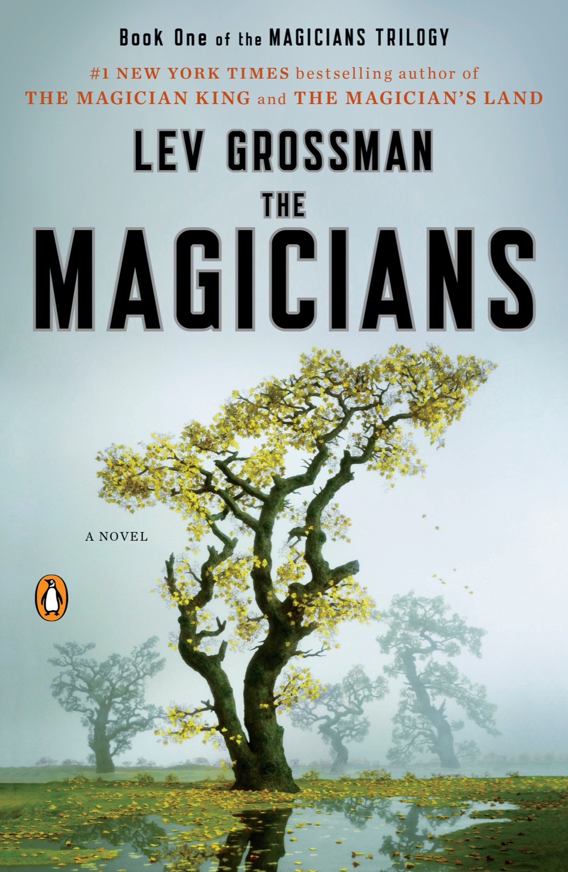 Magicians Trilogy 1 The Magicians Lev Grossman