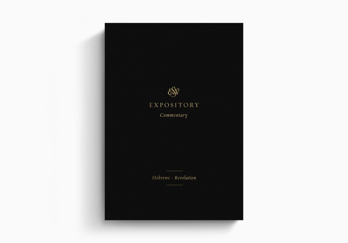 Esv Expository Commentary Hebrews To Revelation Bible Expository Vol 12 Dennis E Johnson
