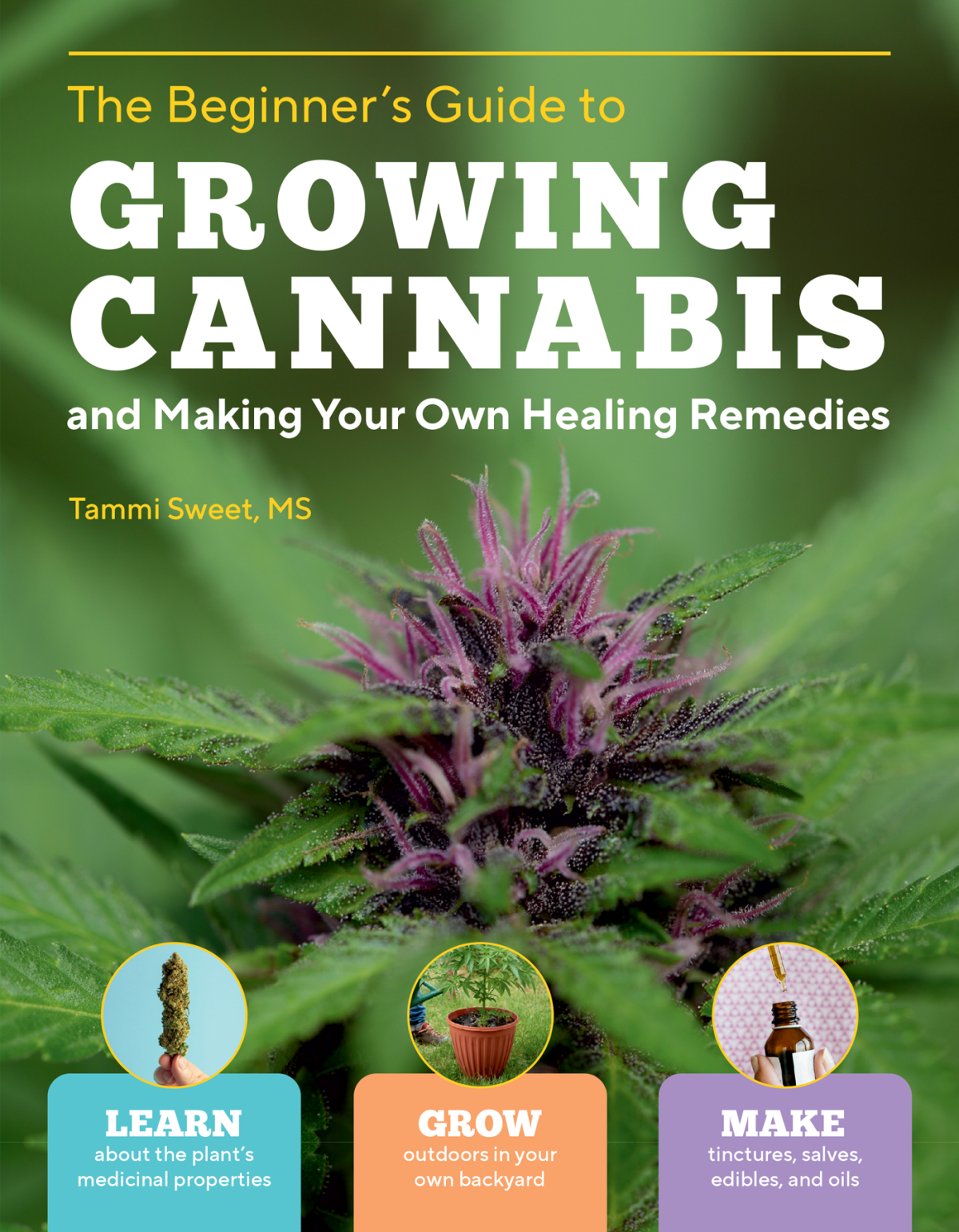 Beginners Guide To Growing Cannabis And Making Your Own Healing Remedies Tammi Sweet