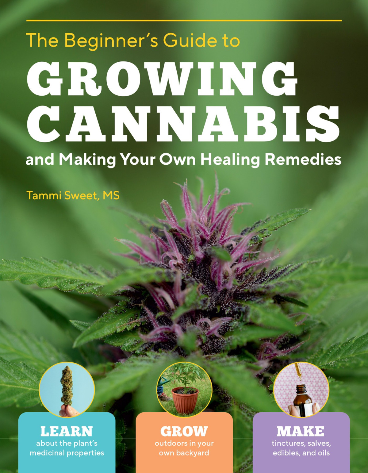 Beginners Guide To Growing Cannabis And Making Your Own Healing Remedies Tammi Sweet
