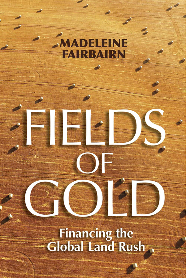 Fields Of Gold Madeleine Fairbairn