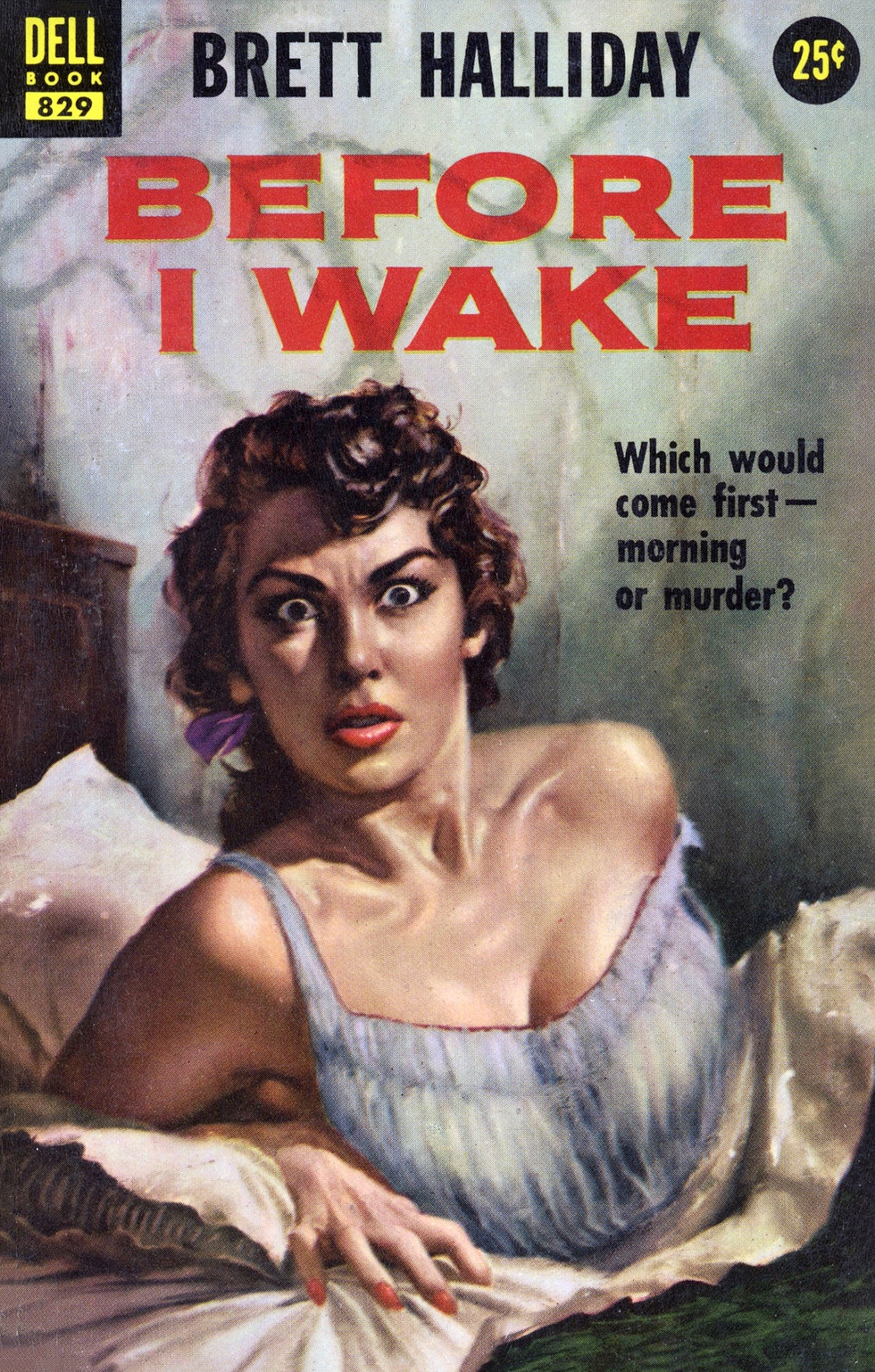 Before I Wake Brett Halliday