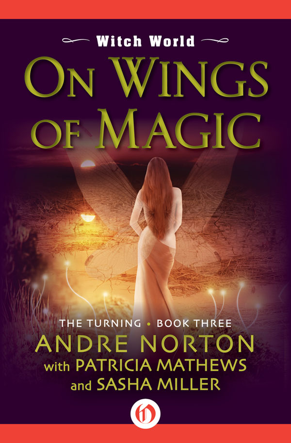 On Wings Of Magic Andre Norton