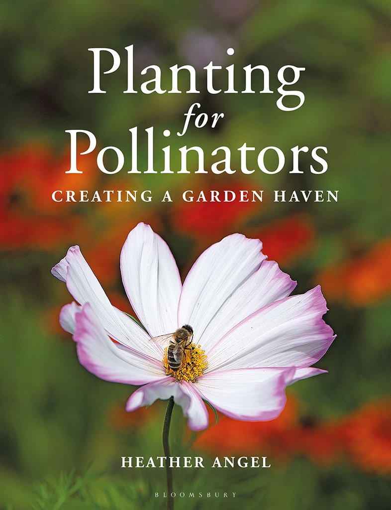 Planting For Pollinators Creating A Garden Haven Heather Angel