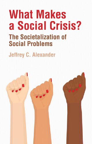 What Makes A Social Crisis The Societalization Of Social Problems 1st Edition Jeffrey C Alexander