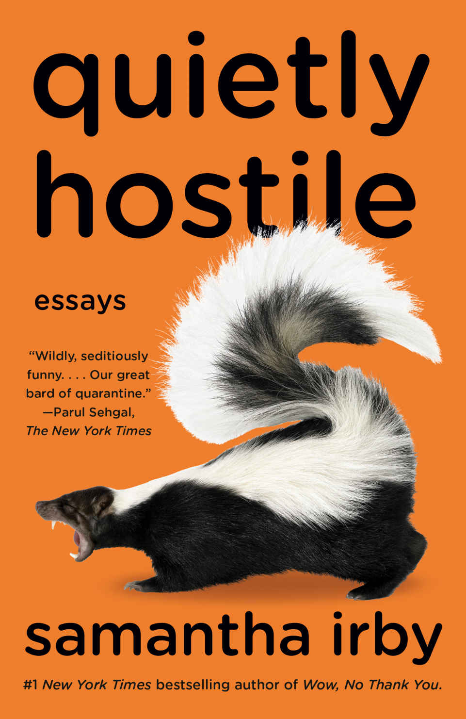Quietly Hostile 1st Edition Samantha Irby