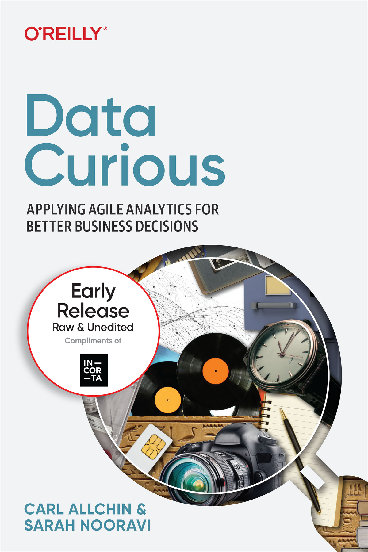 Data Curious Applying Agile Analytics For Better Business Decisions 3rd Carl Allchin And Sarah Nooravi