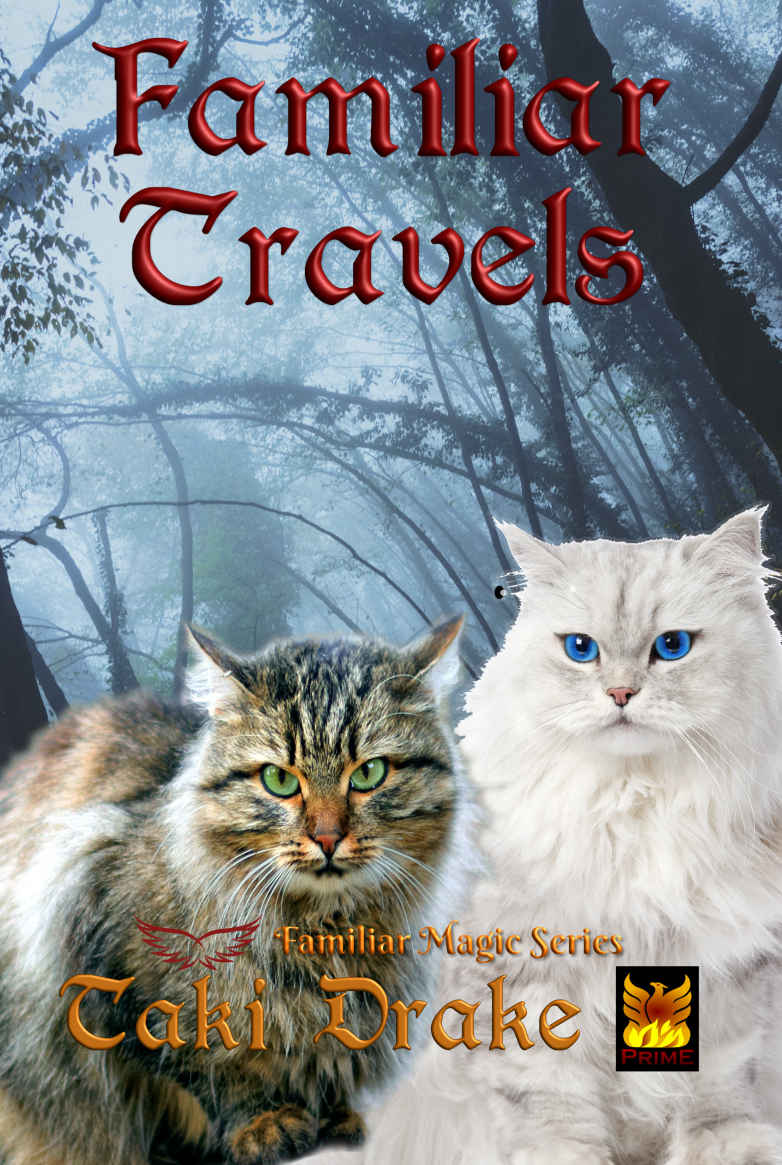Familiar Travels Familiar Magic Book 3 Taki Drake Dorene Johnson