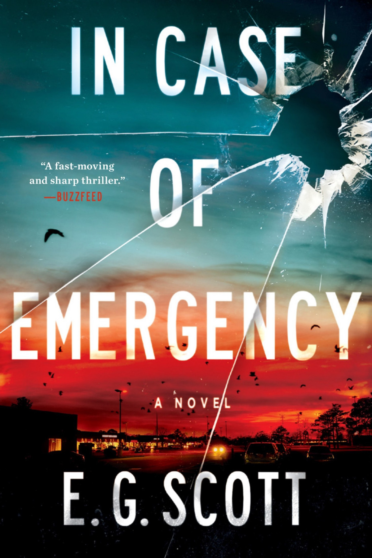 In Case Of Emergency A Novel E G Scott