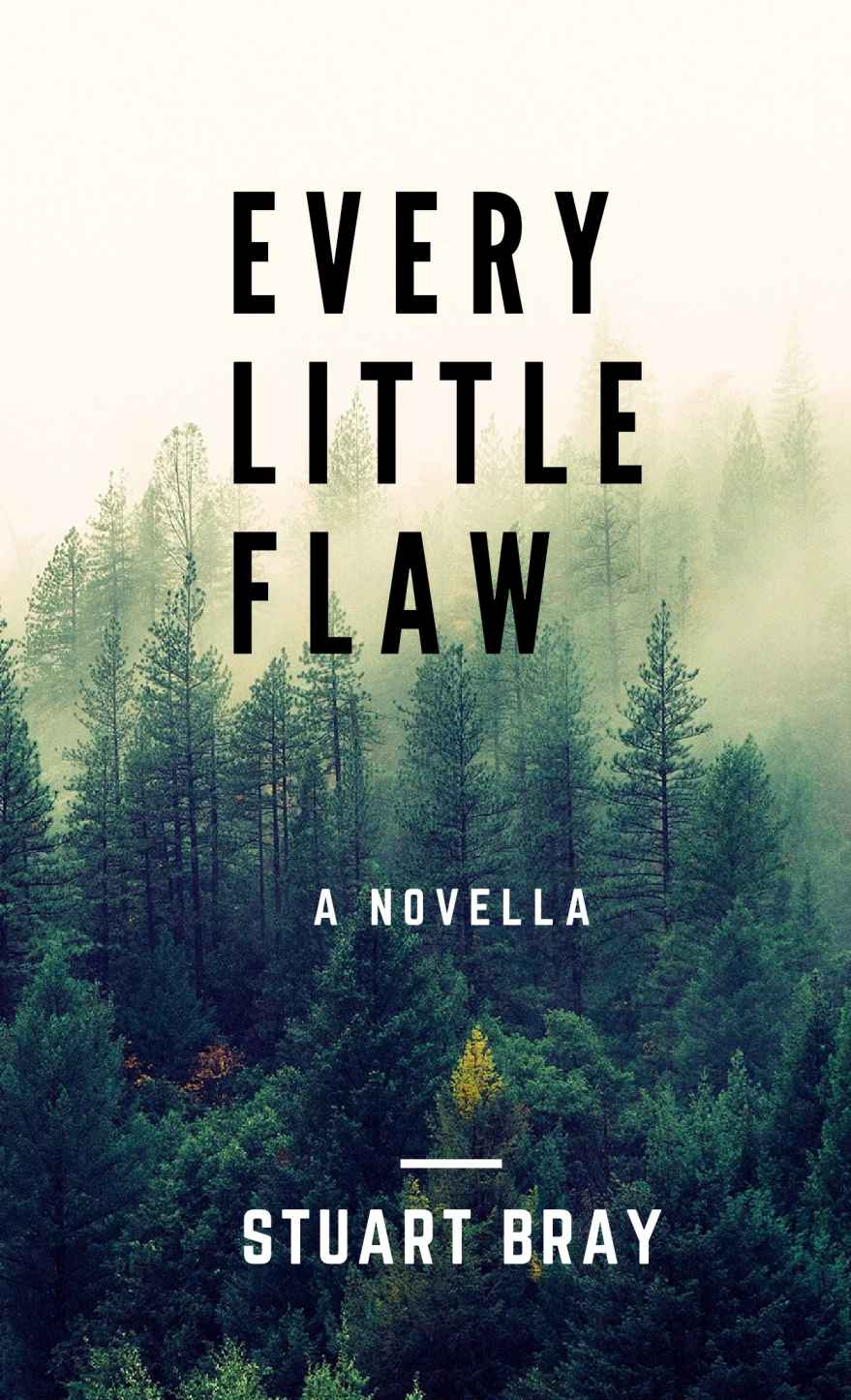 Every Little Flaw Stuart Bray