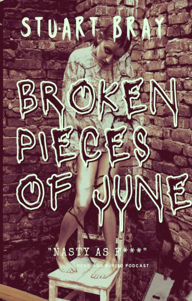 Broken Pieces Of June Stuart Bray
