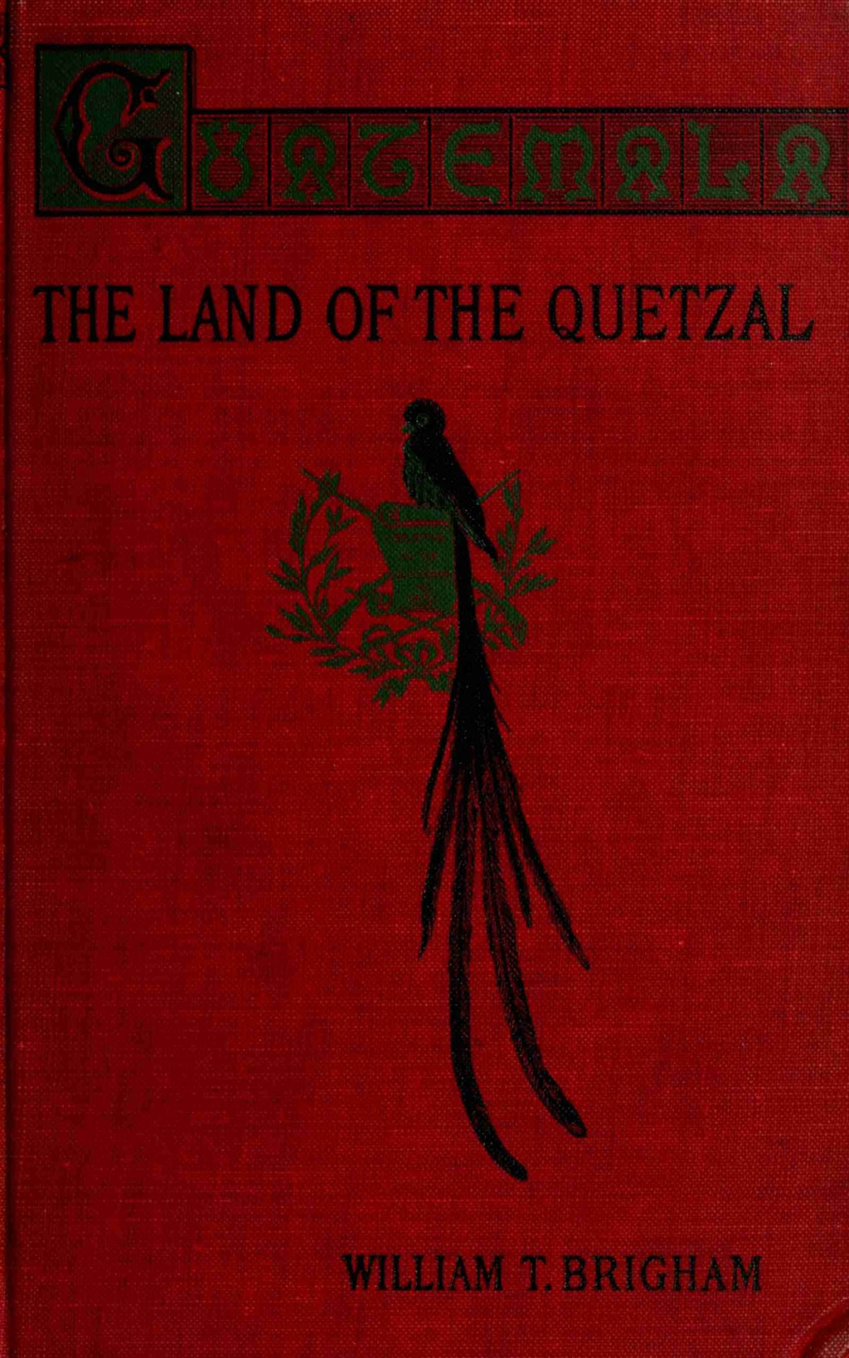 Guatemala The Land Of The Quetzal William T Brigham