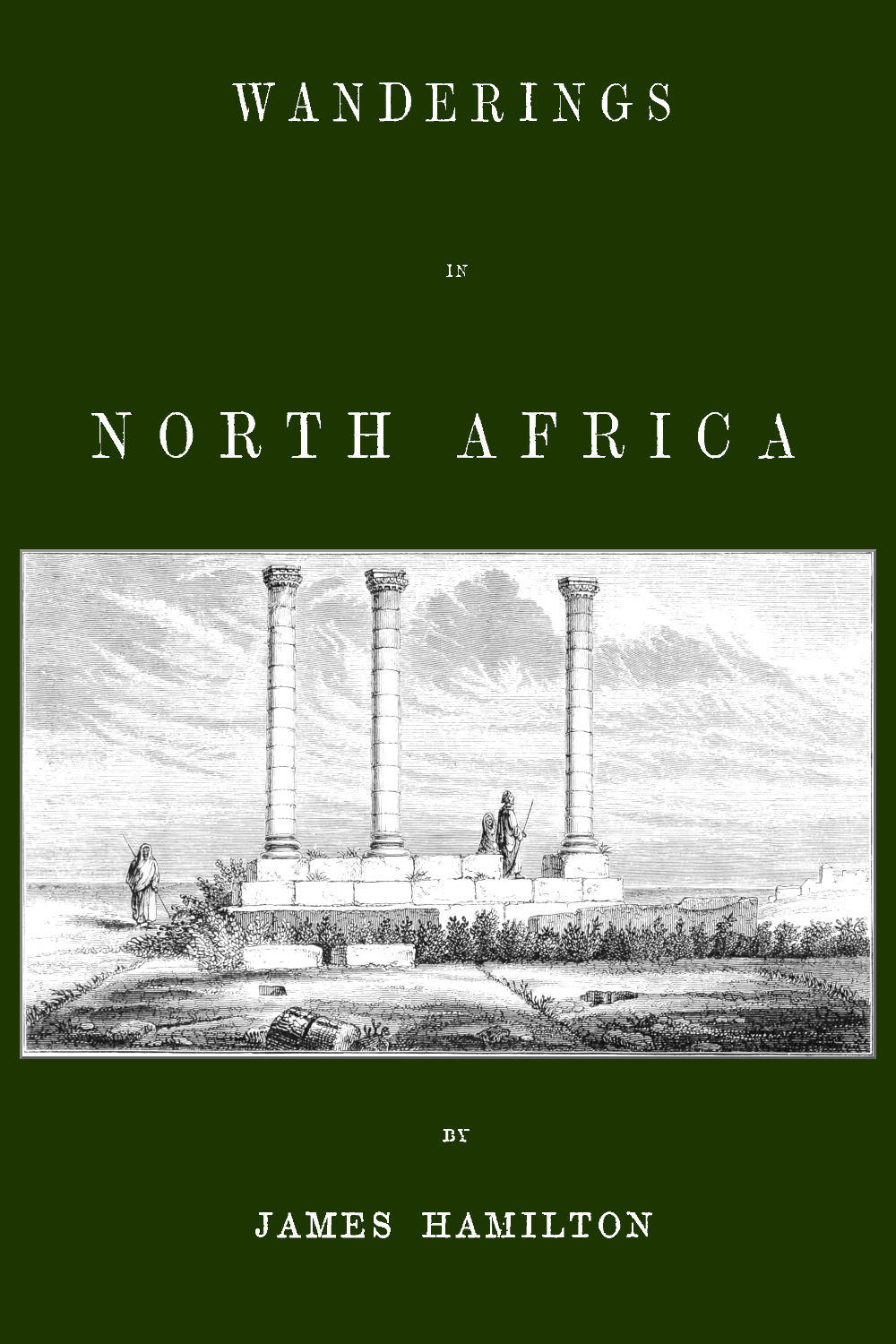 Wanderings In North Africa James Hamilton
