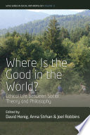 Where Is The Good In The World Ethical Life Between Social Theory And Philosophy 1st Edition David Henig