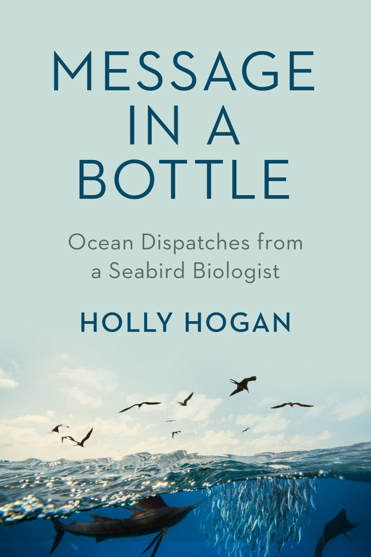 Message In A Bottle Ocean Dispatches From A Seabird Biologist Holly Hogan