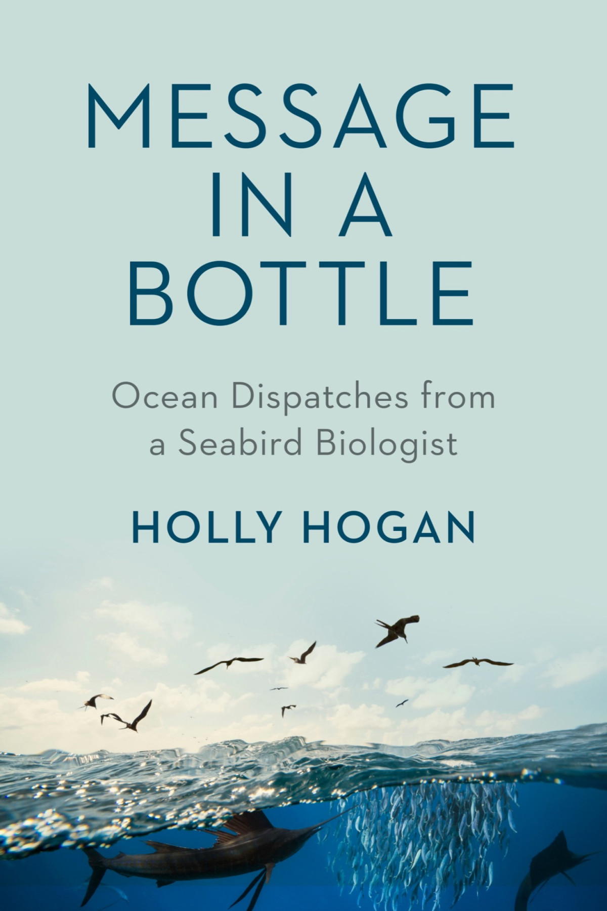 Message In A Bottle Ocean Dispatches From A Seabird Biologist Holly Hogan