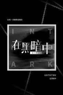 In The Dark C1168 Mtl Translatorongoing
