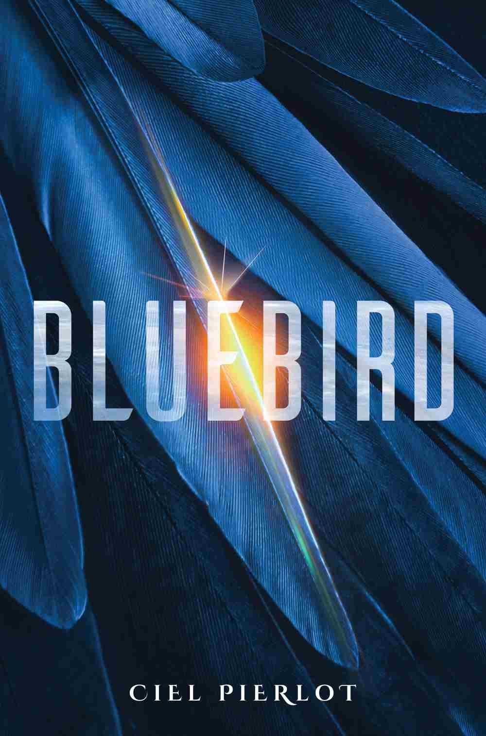 Bluebird Ciel Pierlot