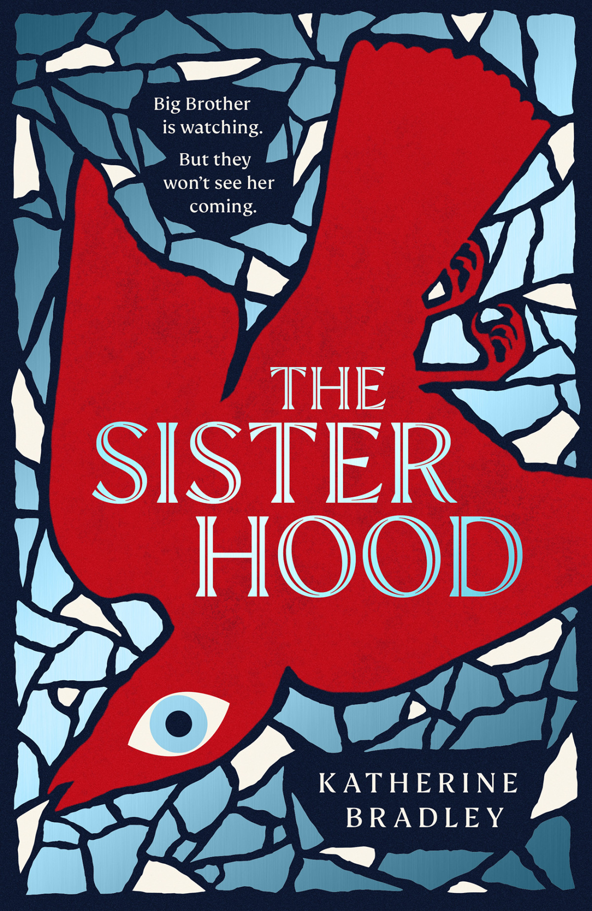 The Sisterhood Big Brother Is Watching But They Wont See Her Coming Katherine Bradley