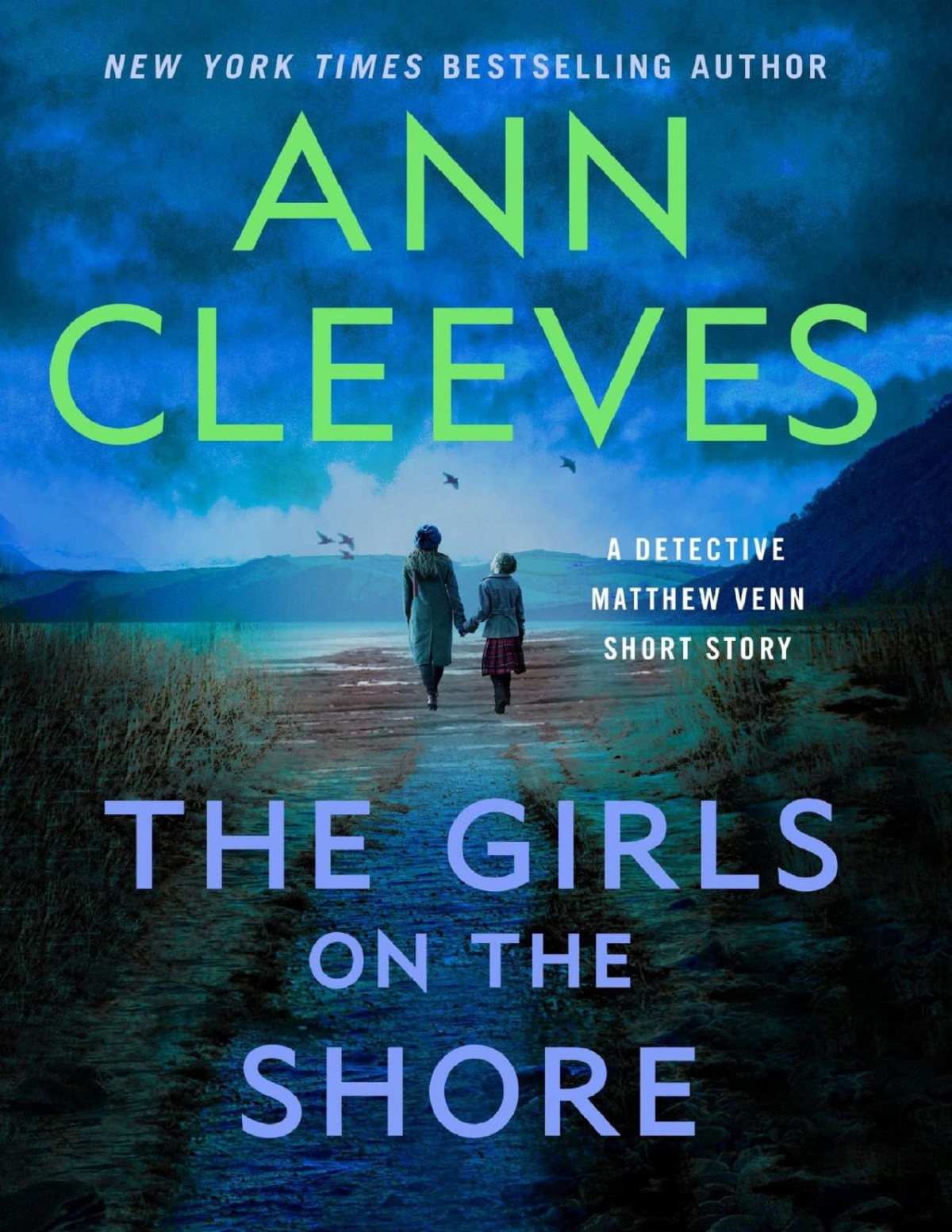 The Girls On The Shore Ann Cleeves