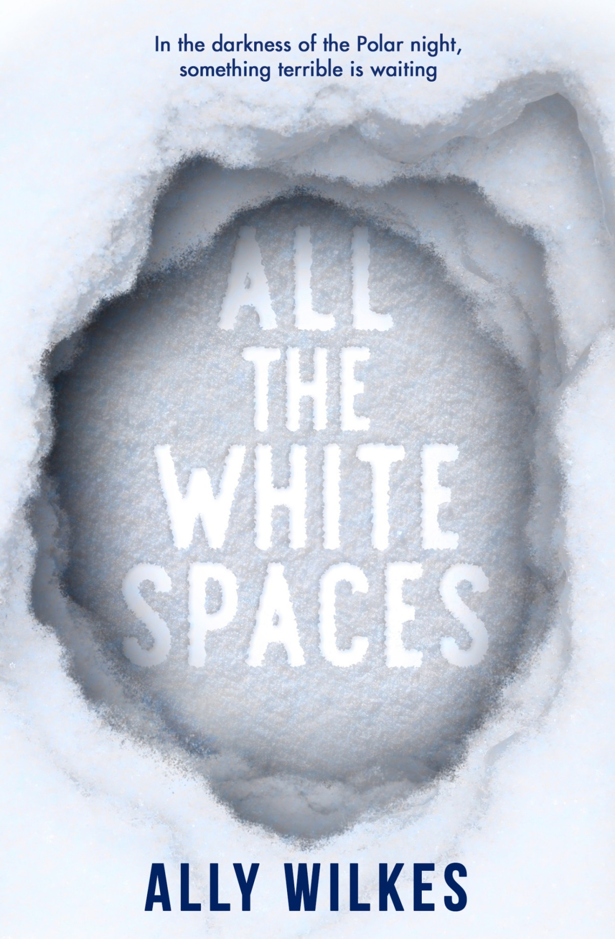 All The White Spaces 1st Edition Ally Wilkes