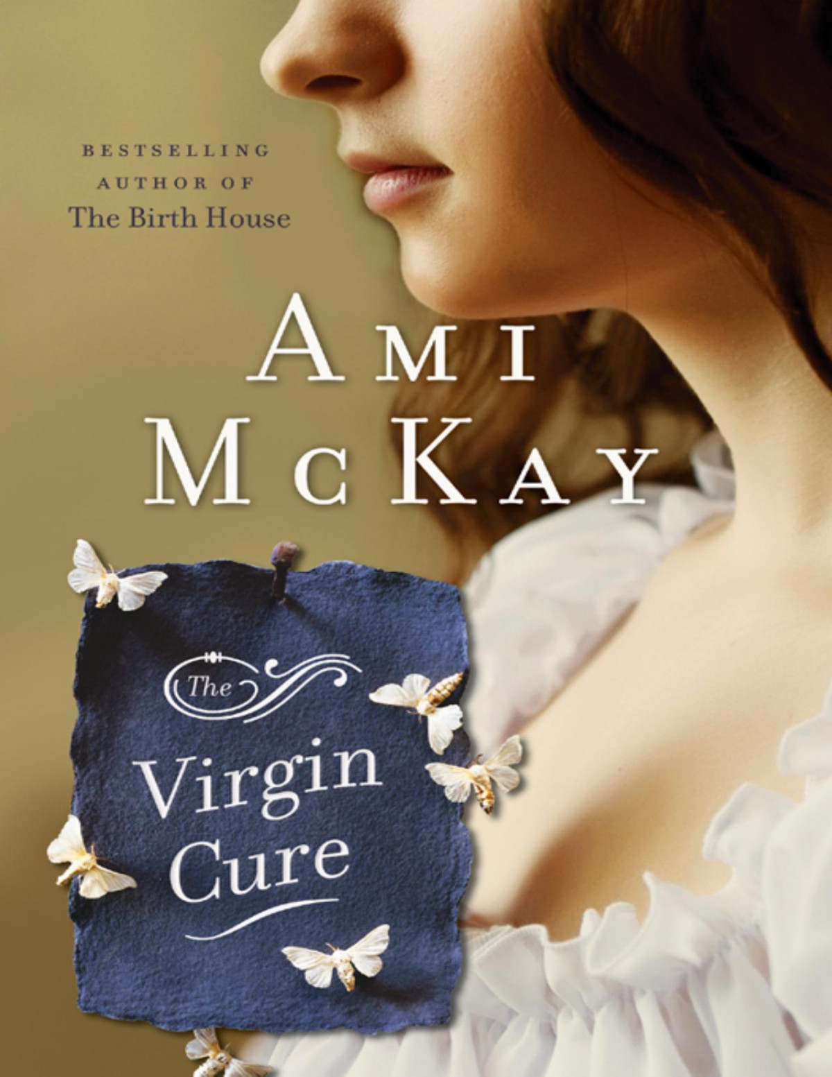 The Virgin Cure Ami Mckay