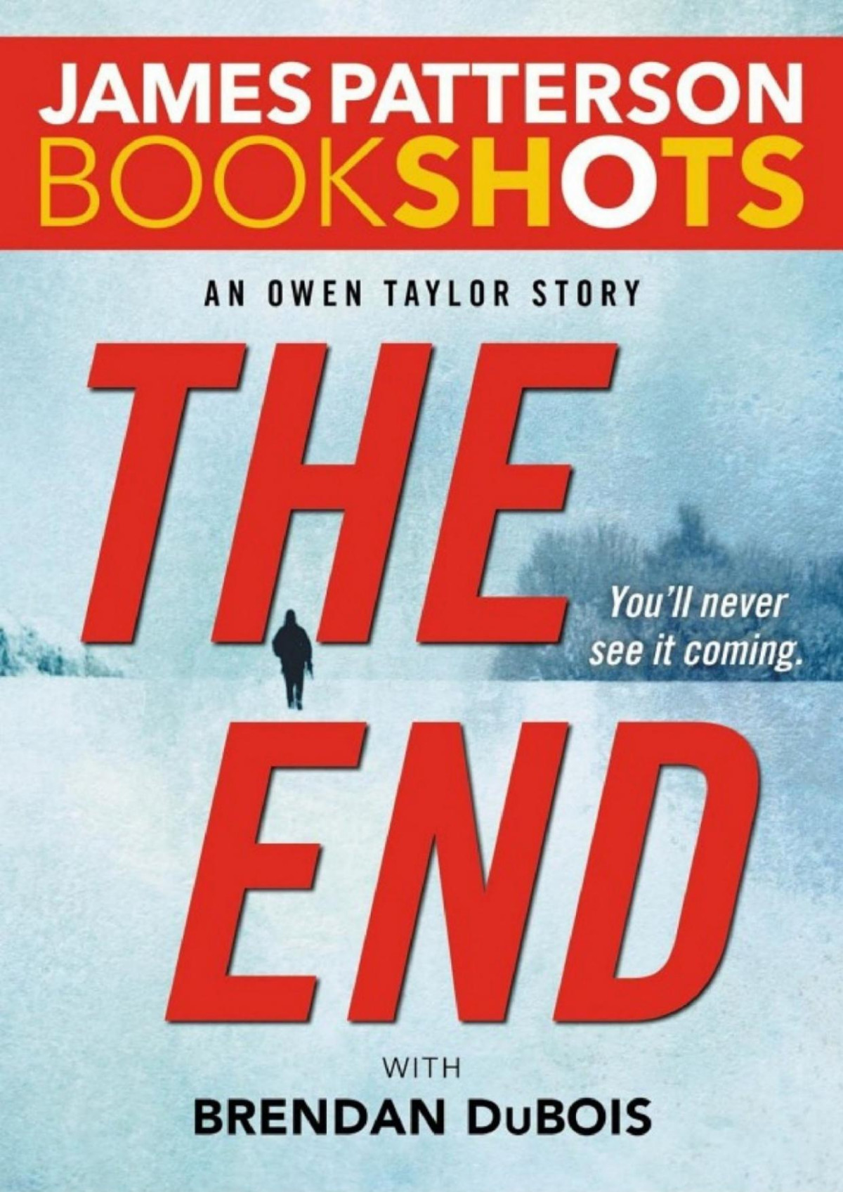 The End An Owen Taylor Story James Patterson Brendan Dubois