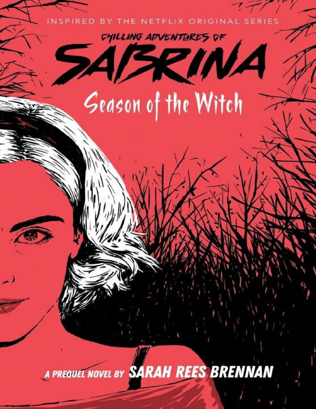 Season Of The Witch Sarah Rees Brennan