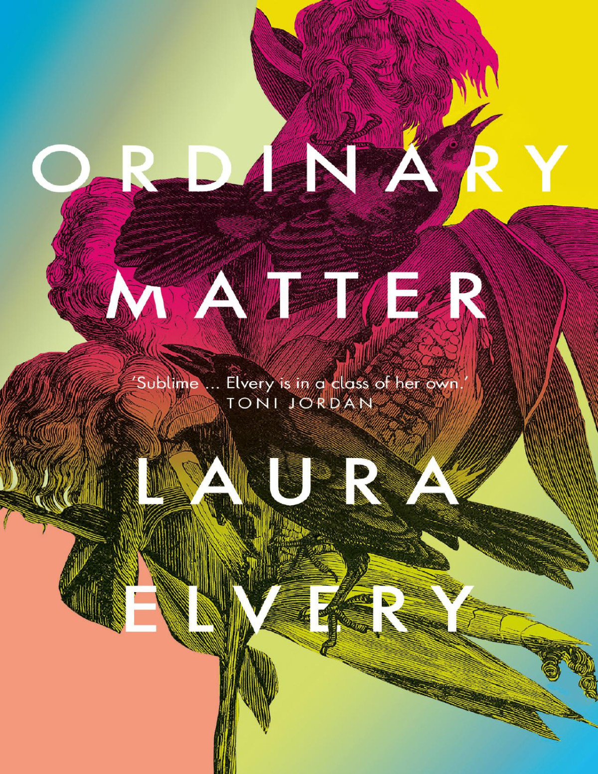 Ordinary Matter Laura Elvery