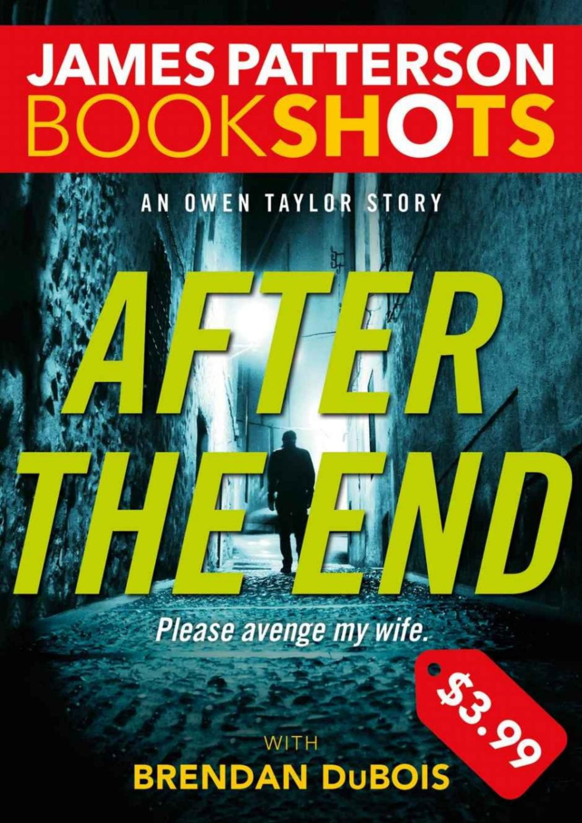 After The End An Owen Taylor Story James Patterson Brendan Dubois
