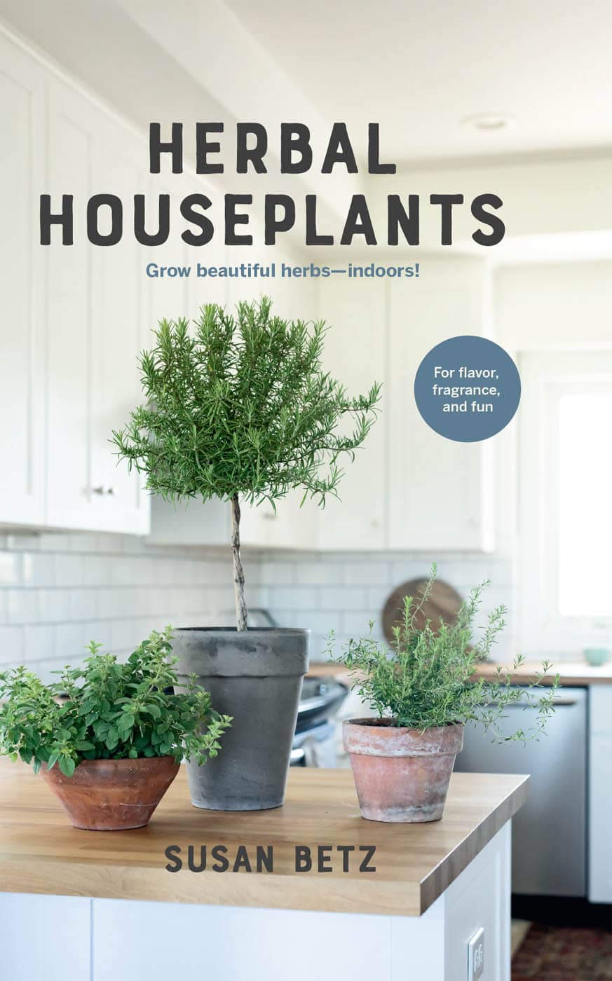 Herbal Houseplants Grow Beautiful Herbs Indoors Susan Betz