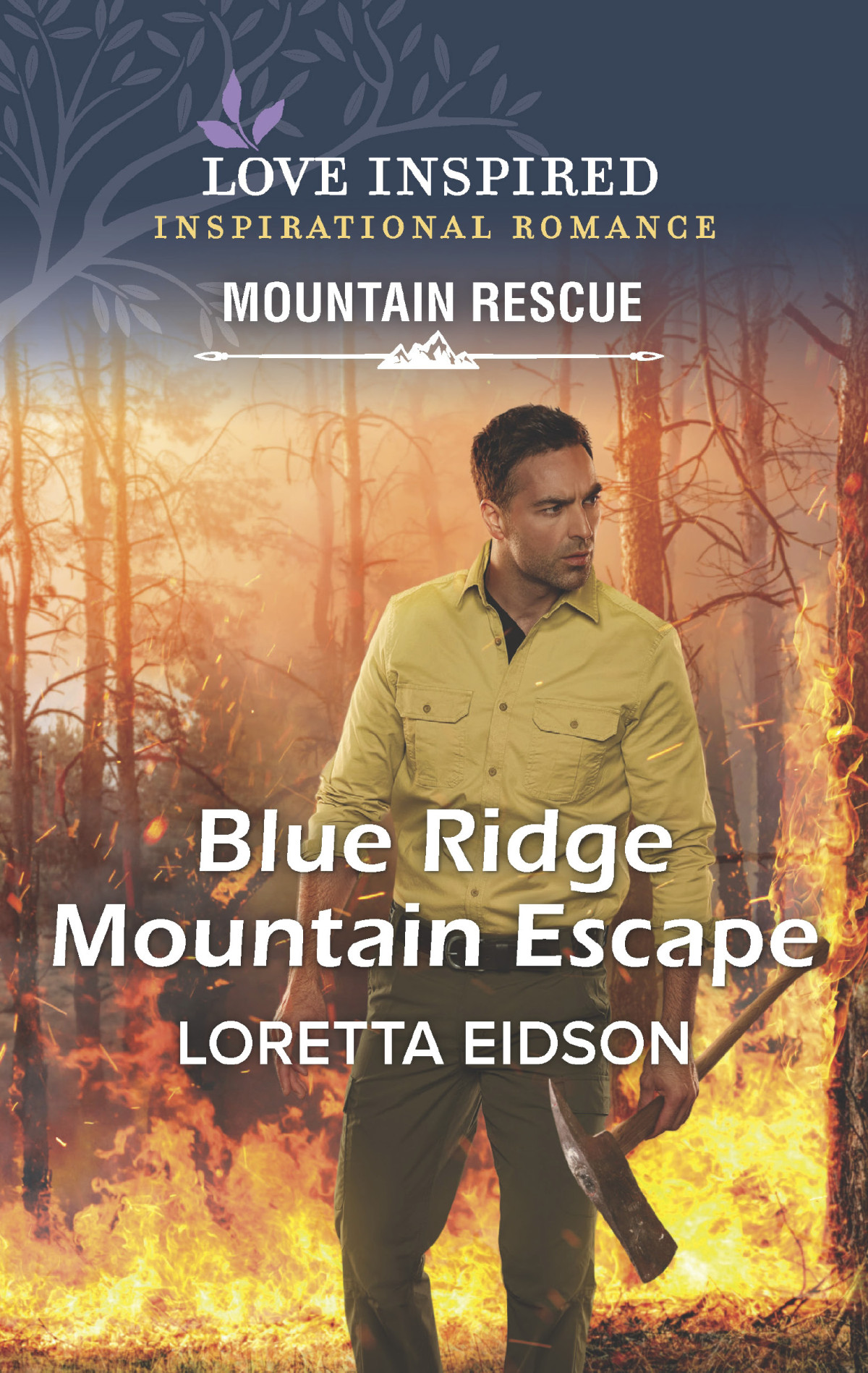 Blue Ridge Mountain Escape Loretta Eidson