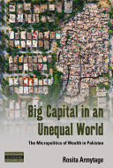 Big Capital In An Unequal World The Micropolitics Of Wealth In Pakistan 1st Edition Rosita Armytage