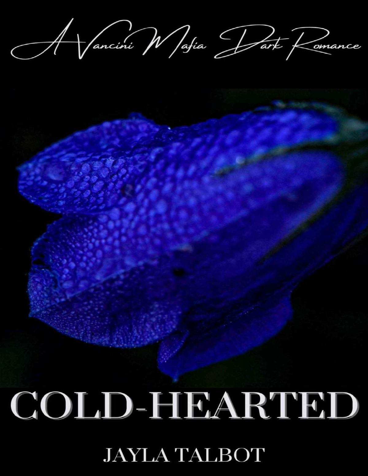 Coldhearted Talbot Jayla
