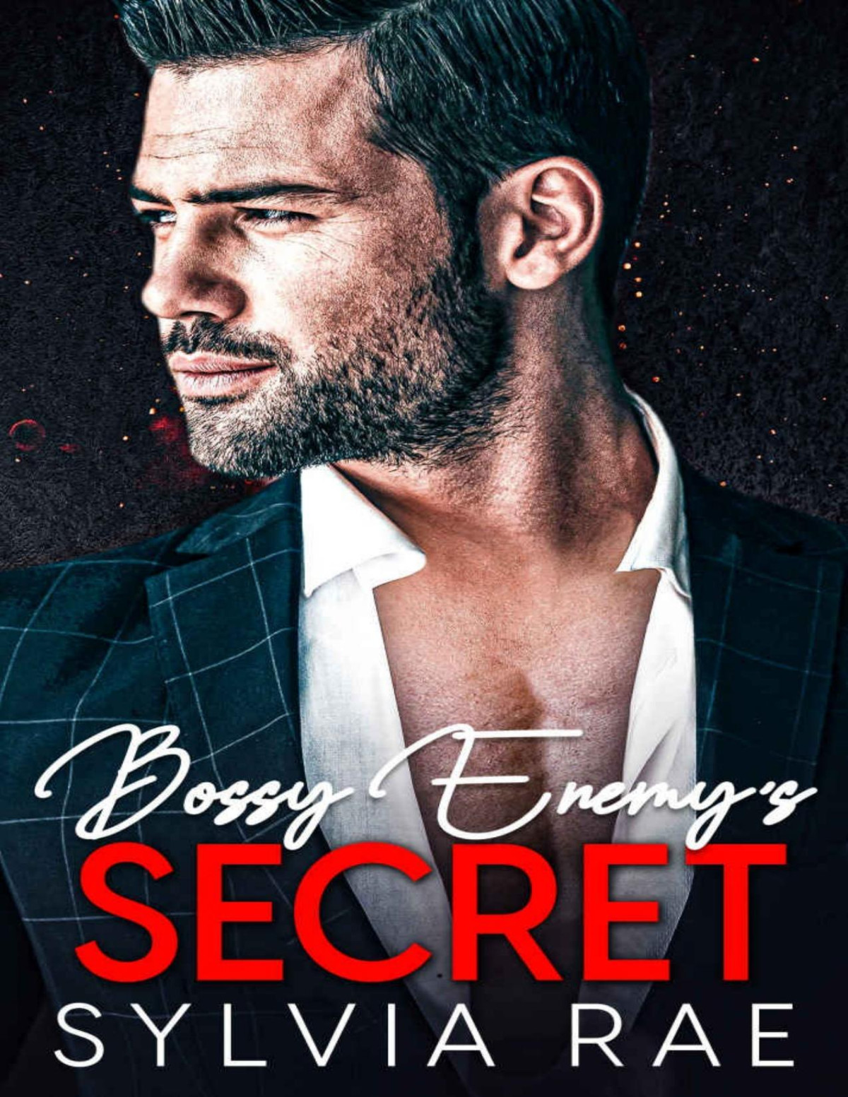Bossy Enemys Secret An Enemies To Lovers Romance Sylvia Rae