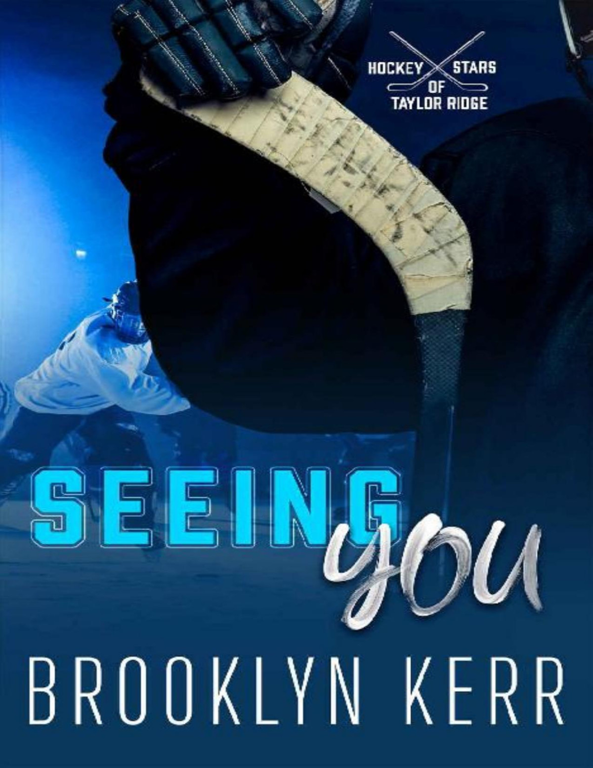 Seeing You Hockey Stars Of Taylor Ridge Book 3 Brooklyn Kerr