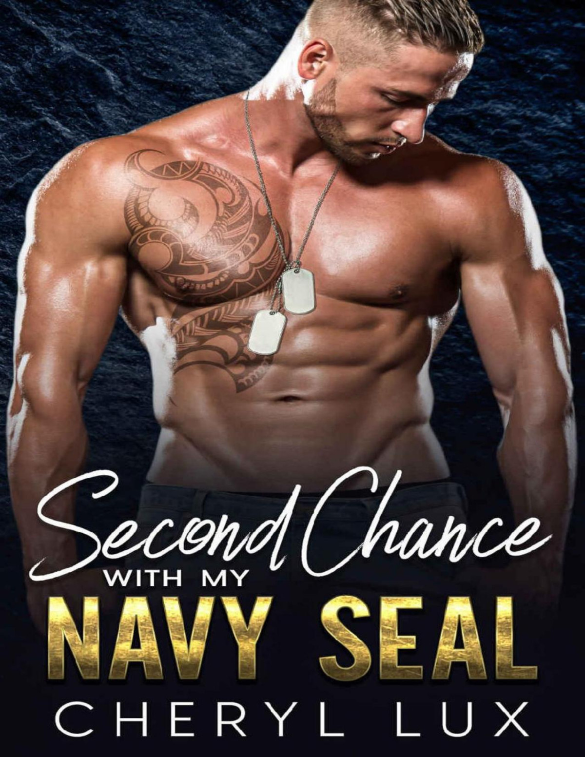 Second Chance With My Navy Seal An Enemies To Lover Secret Baby Romance Cheryl Lux