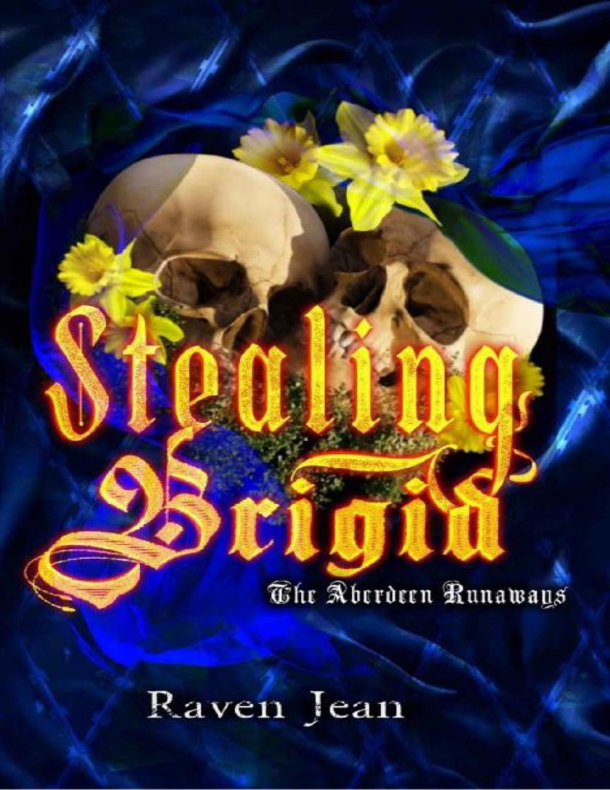 Stealing Brigid The Aberdeen Runaways Series Book 1 Raven Jean