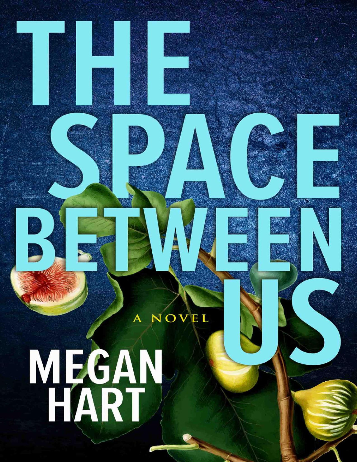The Space Between Us Megan Hart