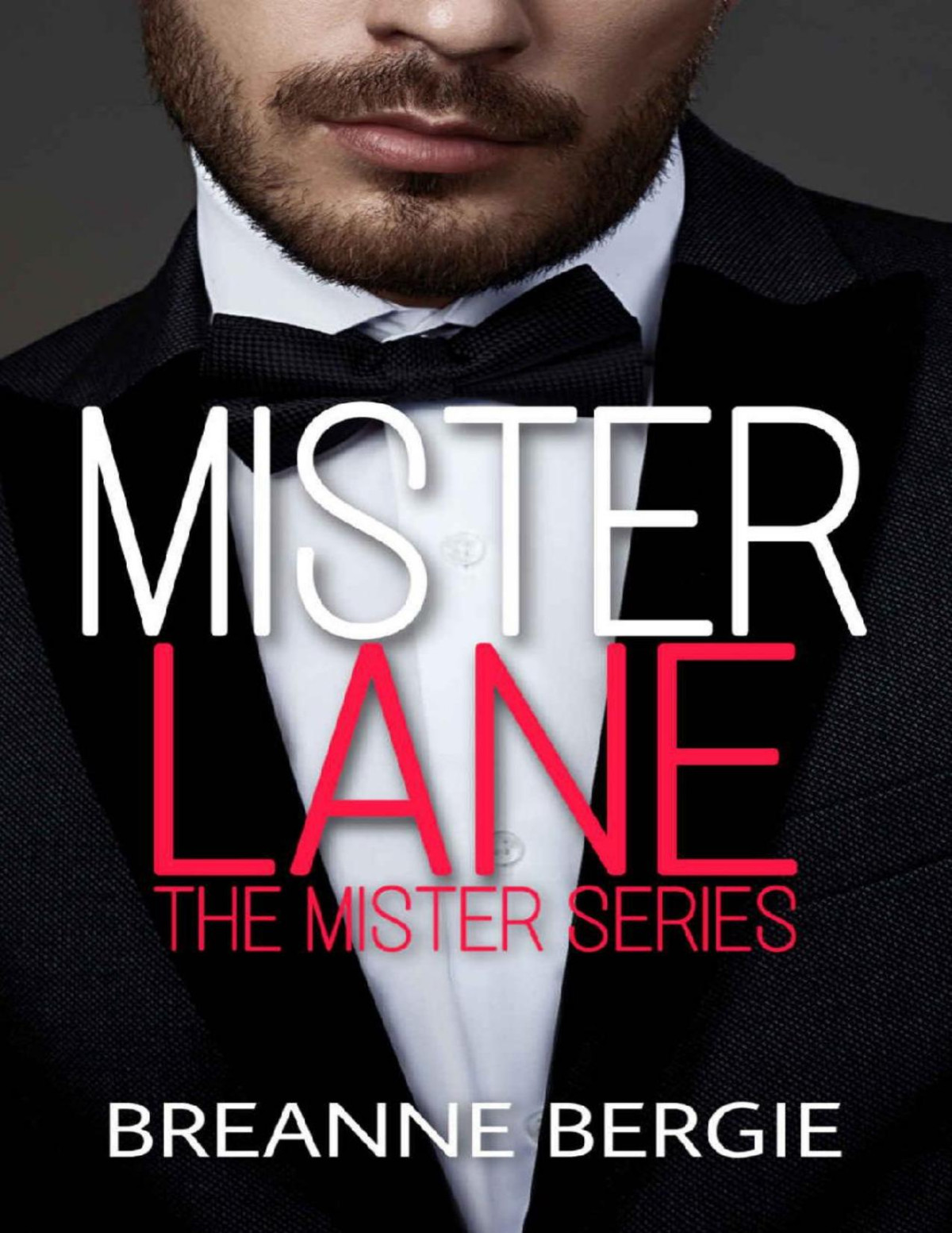 Mister Lane A Secret Baby Billionaire Romance Breanne Bergie