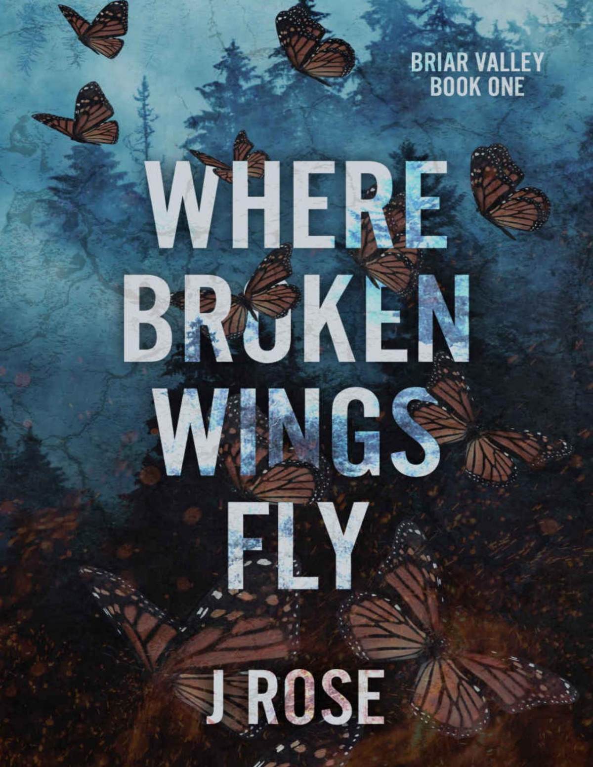 Where Broken Wings Fly A Small Town Reverse Harem Romance Briar Valley Book 1 J Rose