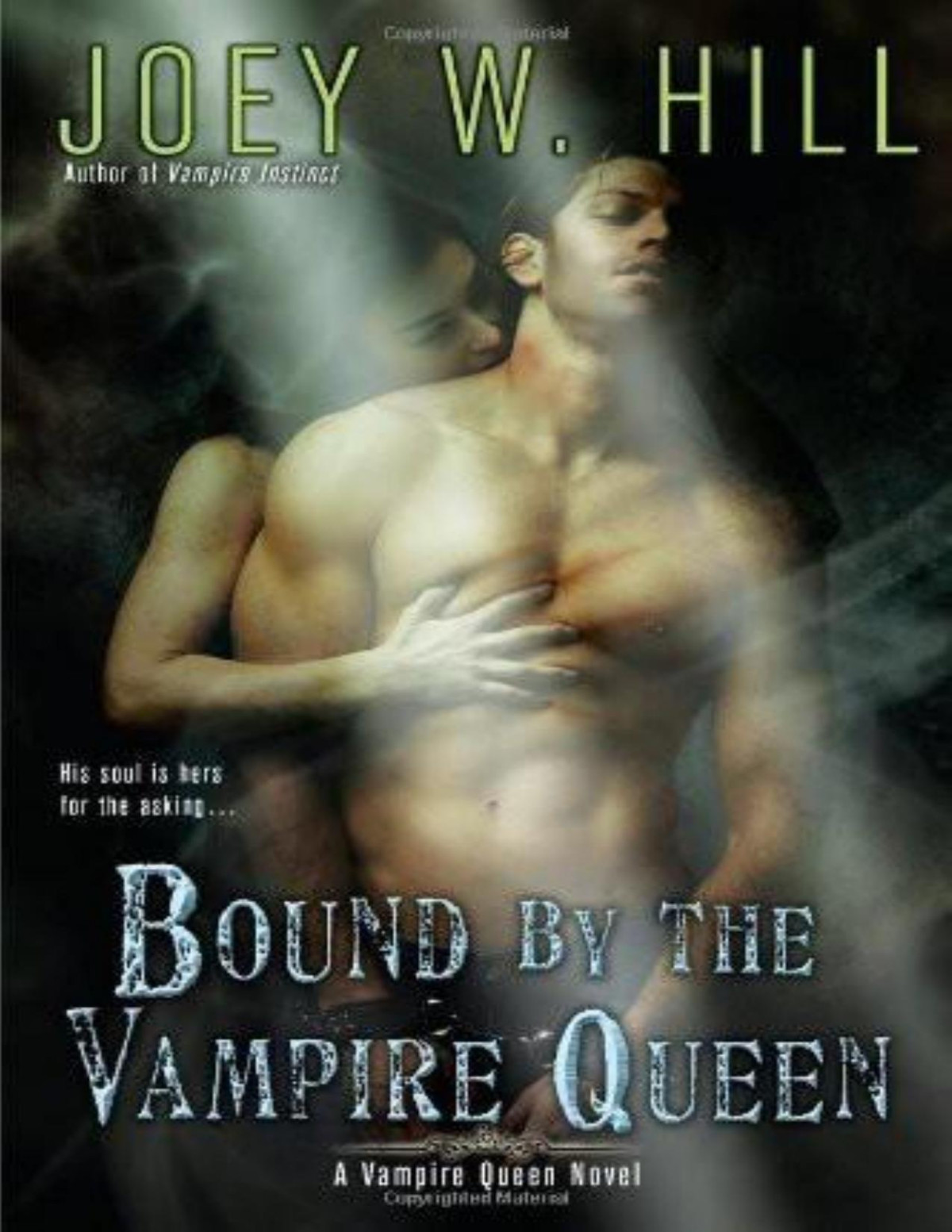 Bound By The Vampire Queen Joey W Hill