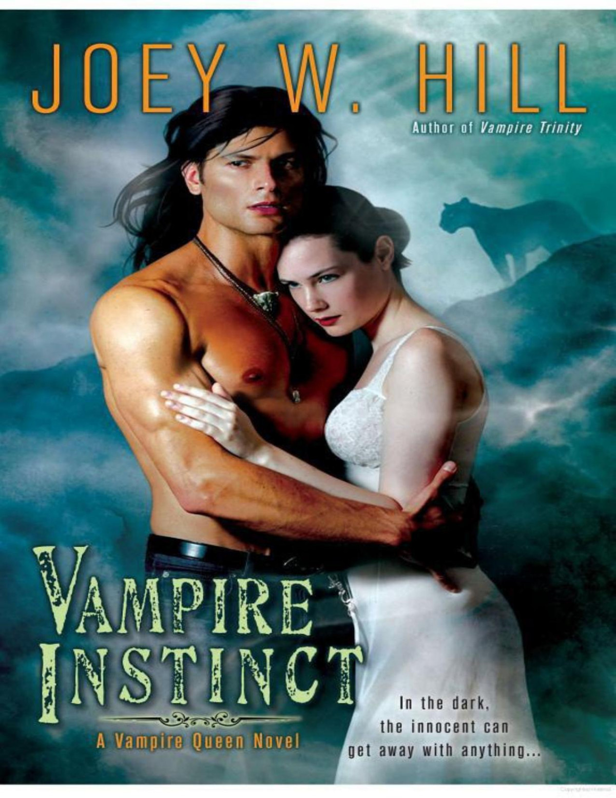 Vampire Instinct Joey W Hill