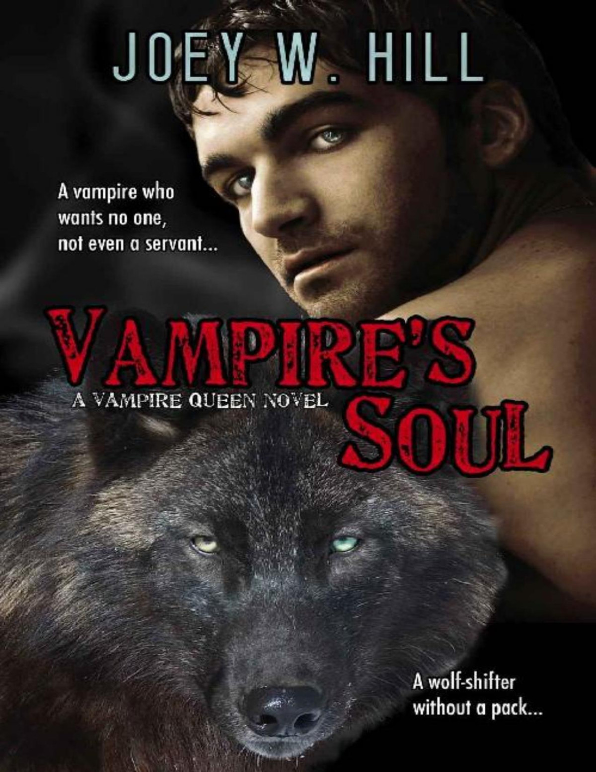 Vampires Soul A Vampire Queen Series Novel Joey W Hill