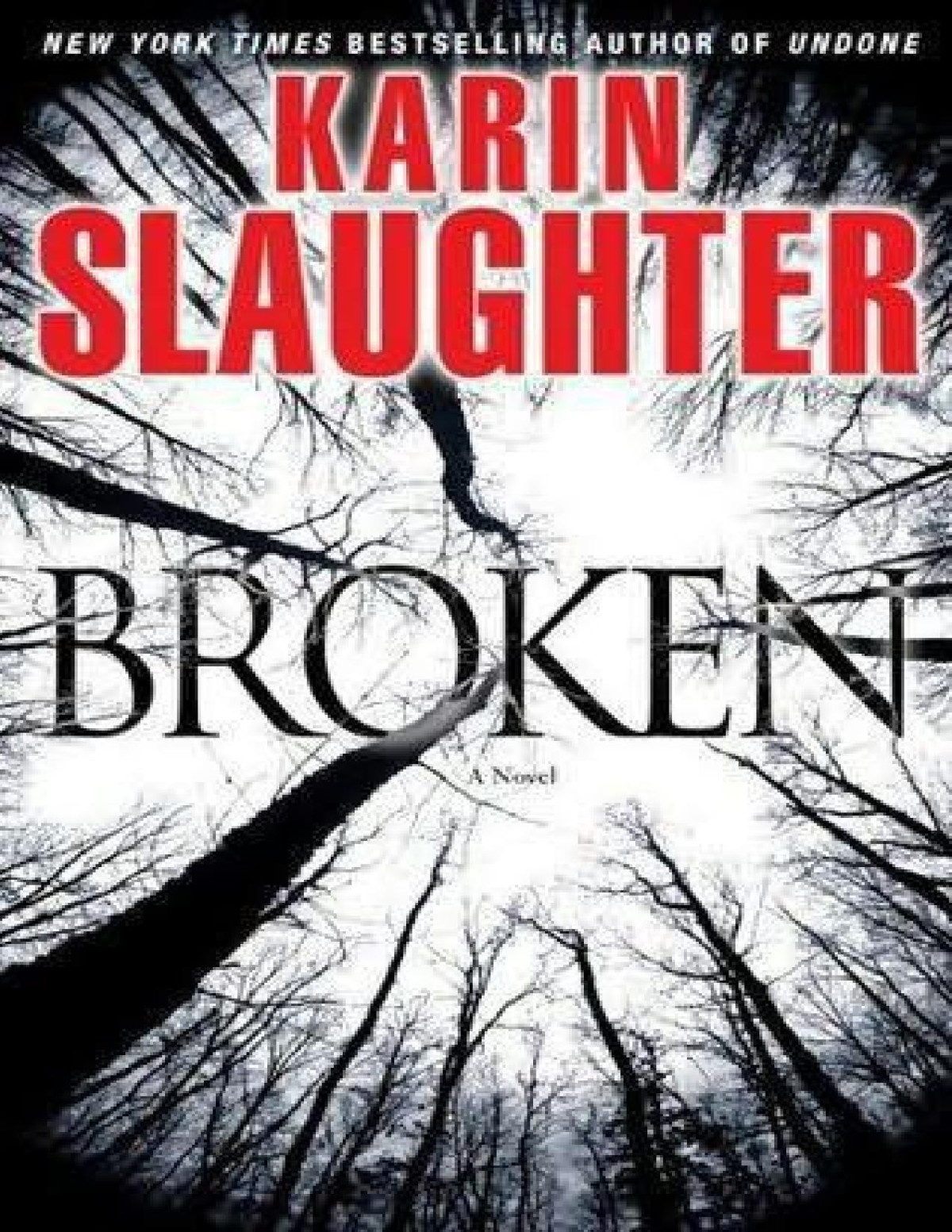 Broken Karin Slaughter